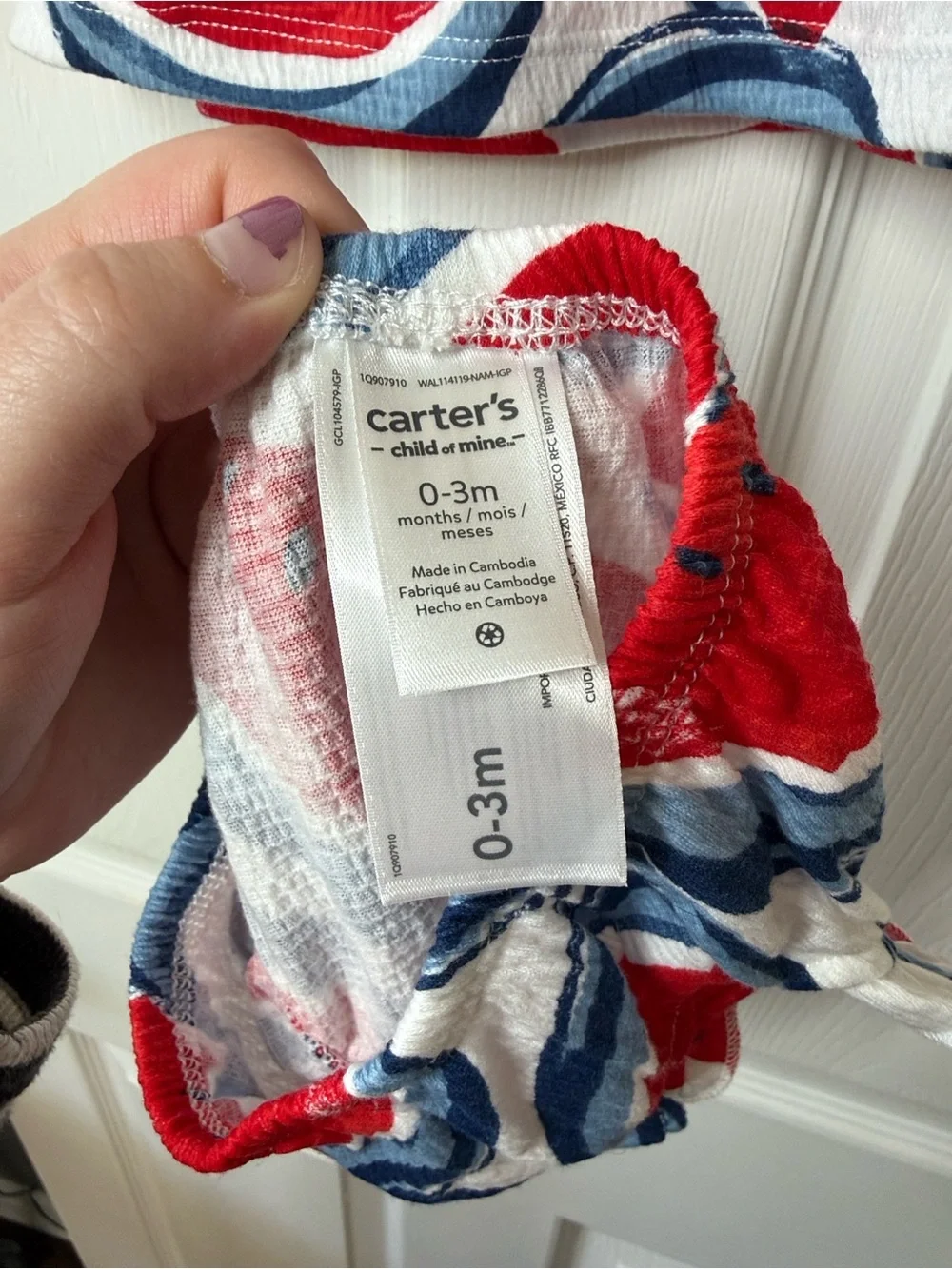 Carter's Red and Blue Watermelon Print Baby Matching Set